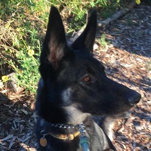 Meet your Posher, Jw